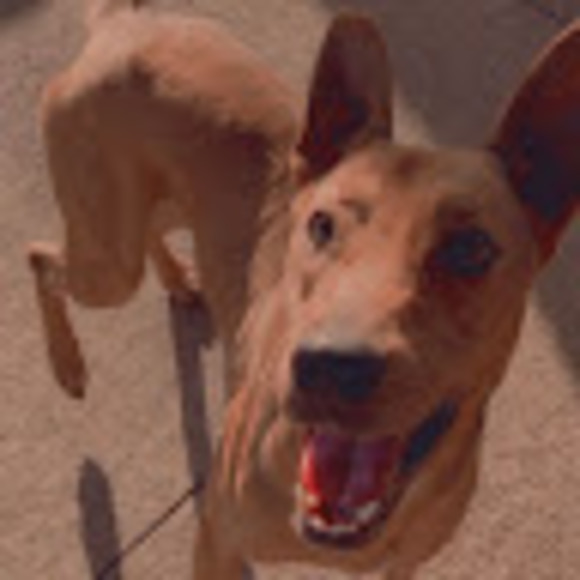 Meet your Posher, Shermaine - Picture 1 of 1